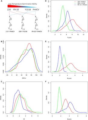 QTL Mapping in Three Connected Populations Reveals a Set of Consensus Genomic Regions for Low Temperature Germination Ability in Zea mays L.